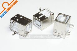 Đầu cắm USB "cái"  Type B