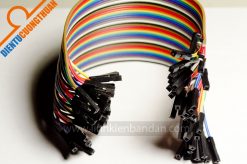 Dây nối 2 đầu cái 40 sợi