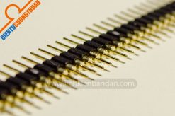 Jump đực mạ vàng bước 2.54mm 40 chân