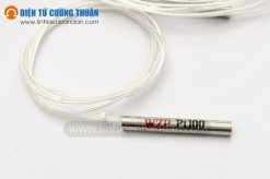 Dây Đo Nhiệt Độ WZP PT100